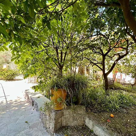 Apartment Miron *