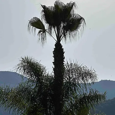 Apartment Miron Menton