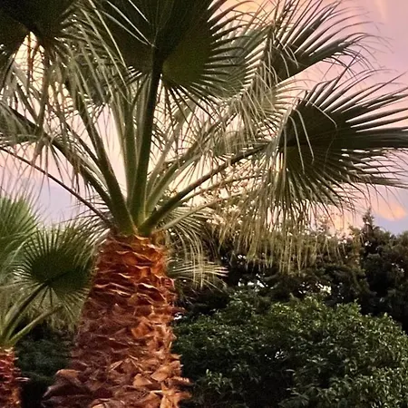 Apartment Miron Menton
