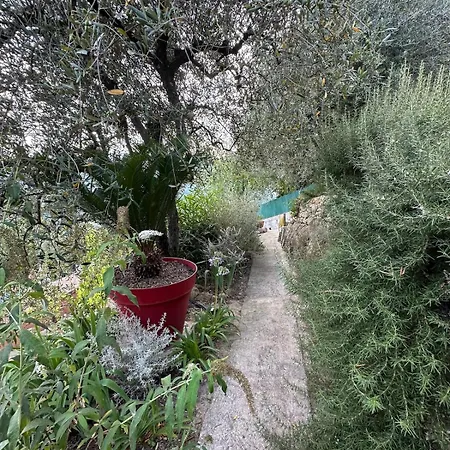 Miron * Menton