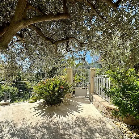 Apartment Miron Menton