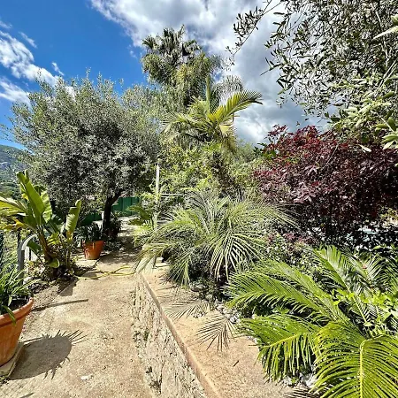 Apartment Miron Menton