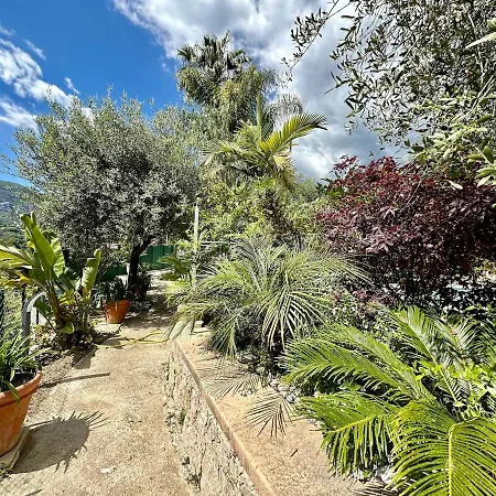 Apartment Miron Menton